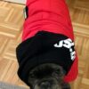 Hunde Hoodie
